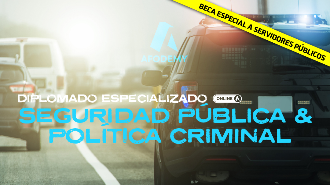 SEGURIDAD PUBLICA Y POLÍTICA CRIMINAL
